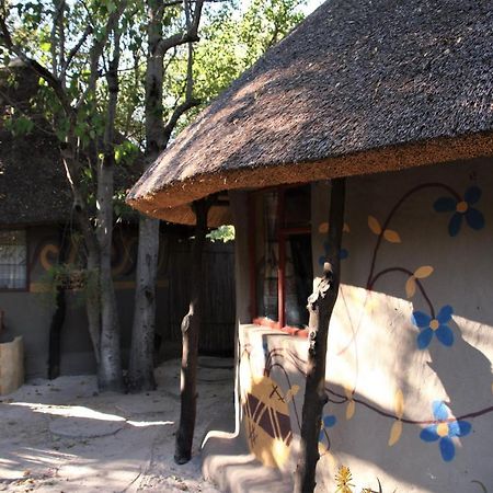 Discovery Bed And Breakfast Maun Zewnętrze zdjęcie
