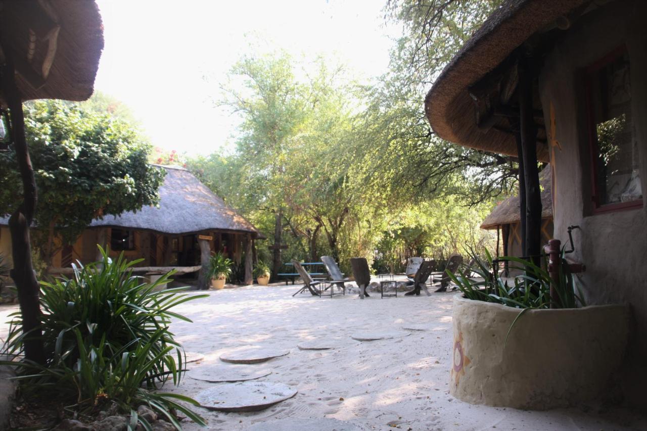 Discovery Bed And Breakfast Maun Zewnętrze zdjęcie