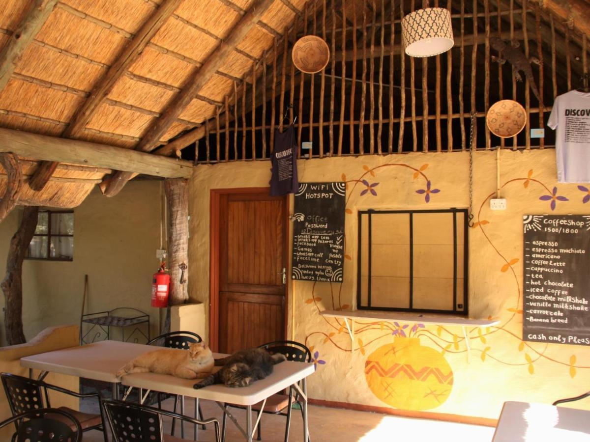 Discovery Bed And Breakfast Maun Zewnętrze zdjęcie