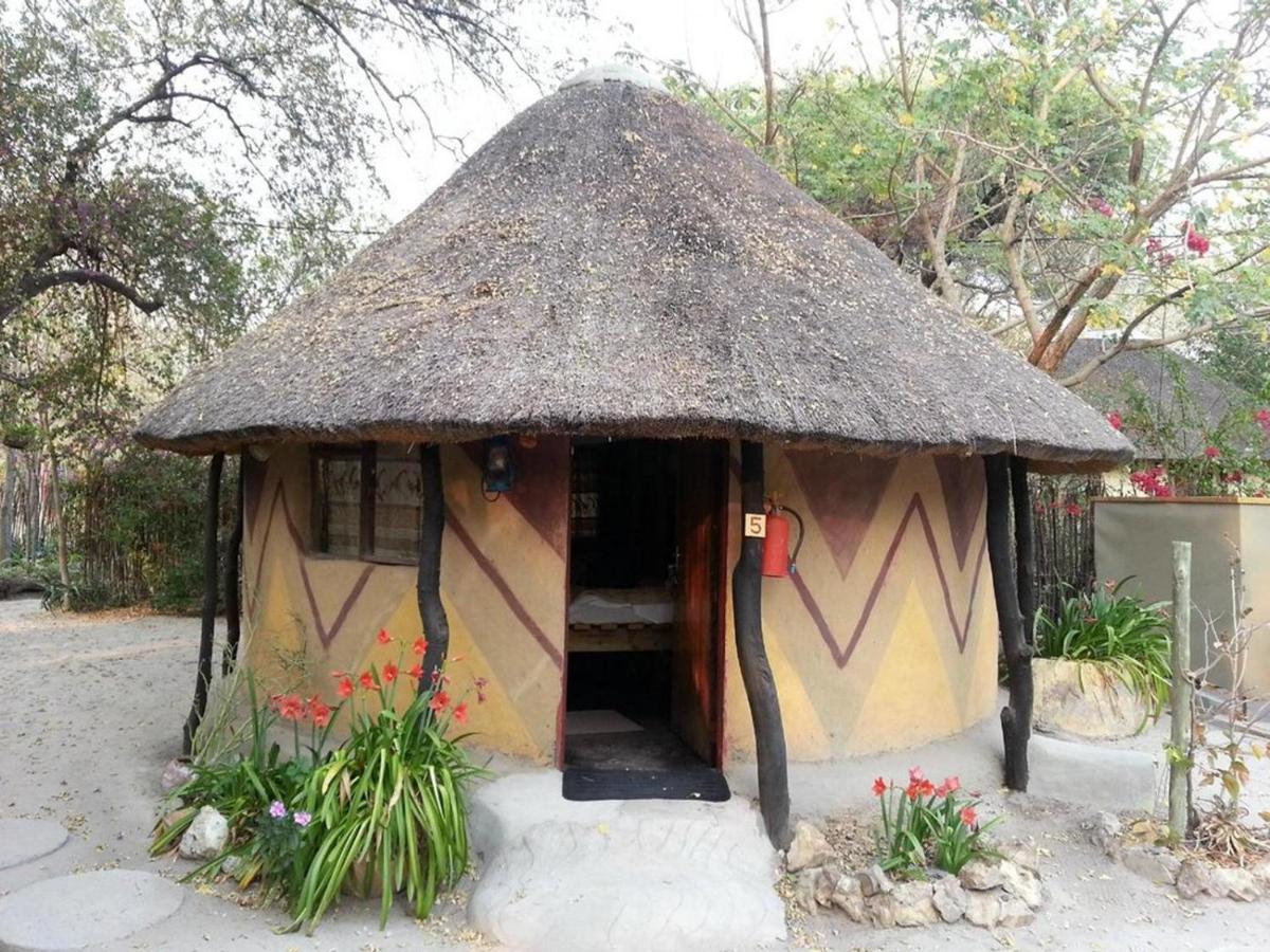 Discovery Bed And Breakfast Maun Zewnętrze zdjęcie