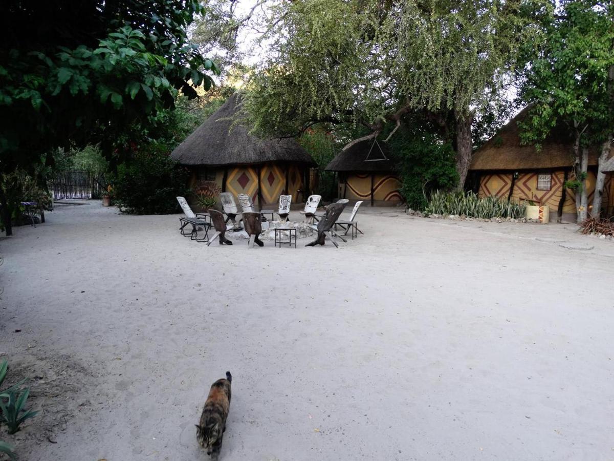 Discovery Bed And Breakfast Maun Zewnętrze zdjęcie